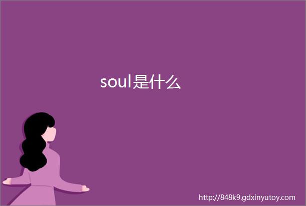 soul是什么